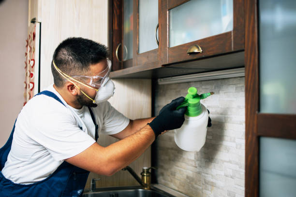 Best Mosquito Control Services  in River Oaks, TX