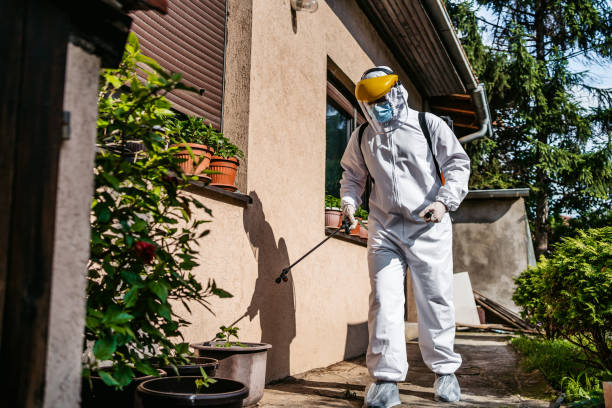 Reliable River Oaks, TX Pest Control Solutions