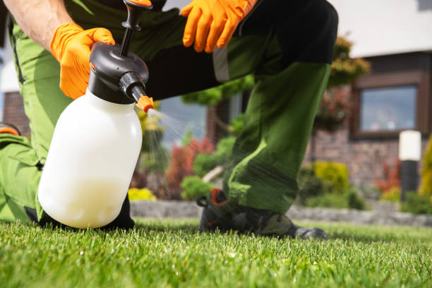 Pest Control Cost in River Oaks, TX