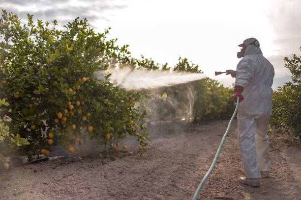 Best Best Pest Control Companies  in River Oaks, TX