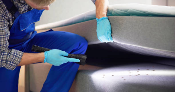 Best Local Pest Control Services  in River Oaks, TX