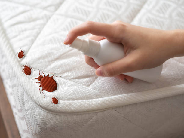 Best Affordable Pest Control Services  in River Oaks, TX