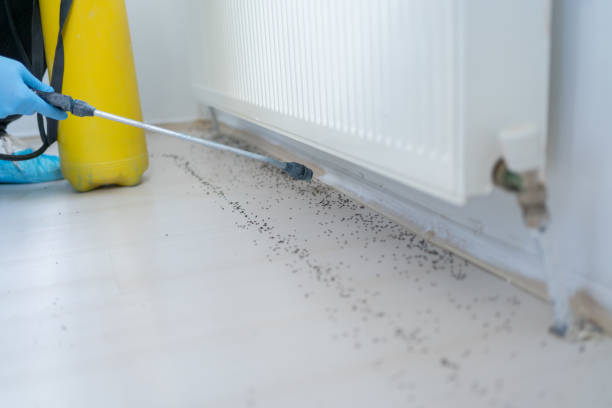 Best Pest Control Cost  in River Oaks, TX